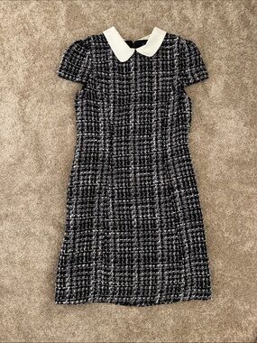 julia jordan Black & White Tweed Dress with White Peter Pan Collar